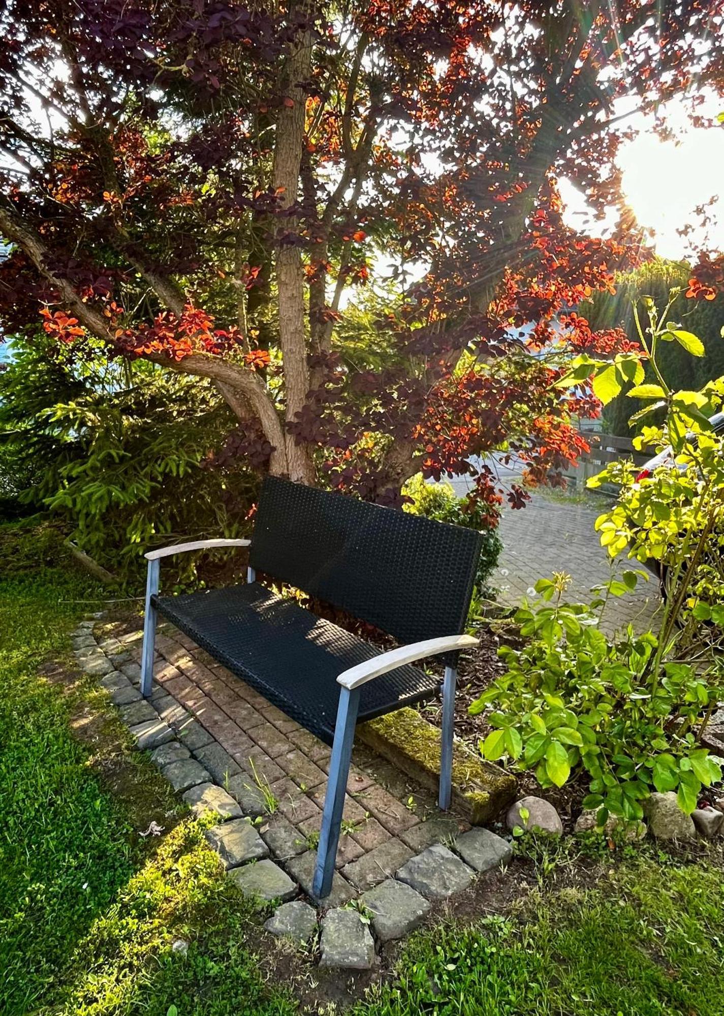 Ferienhaus Windmuehlenweg Mit Grossem Sonnigen Garten -Neu- Spenge Exterior foto